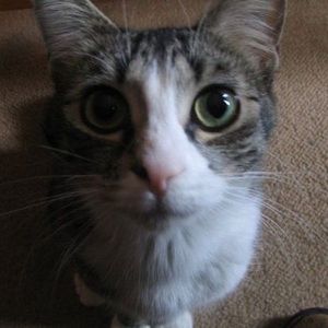 Meet your Posher, Colleen